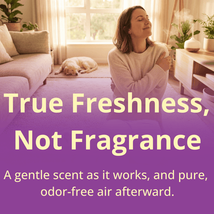 Capture Carpet Dry Cleaner Powder - 4 lbs.