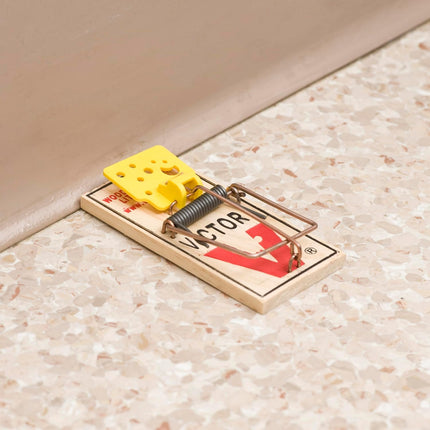 Victor Mouse Traps M035-12, Plastic Pedal, Sustainably Sourced FSC Wood, Wooden Mouse Traps, 12 Pack