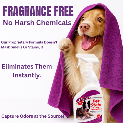 Dog wrapped in a purple towel with a bottle of Capture pet stain and odor remover, surrounded by text about the product's benefits. 