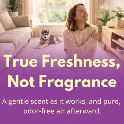 Capture Carpet Dry Cleaner Powder - 2.5 lbs.